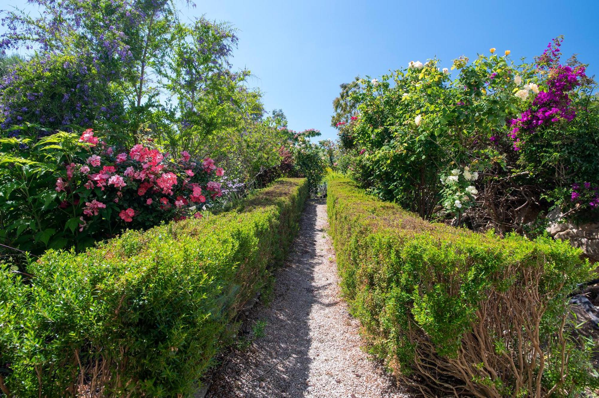 Sardinia Re - Villa Fioretta Flowers Apartments Olmedo Bagian luar foto